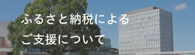 ふるさと納税によるご支援について
