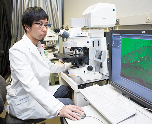医科学研究センター